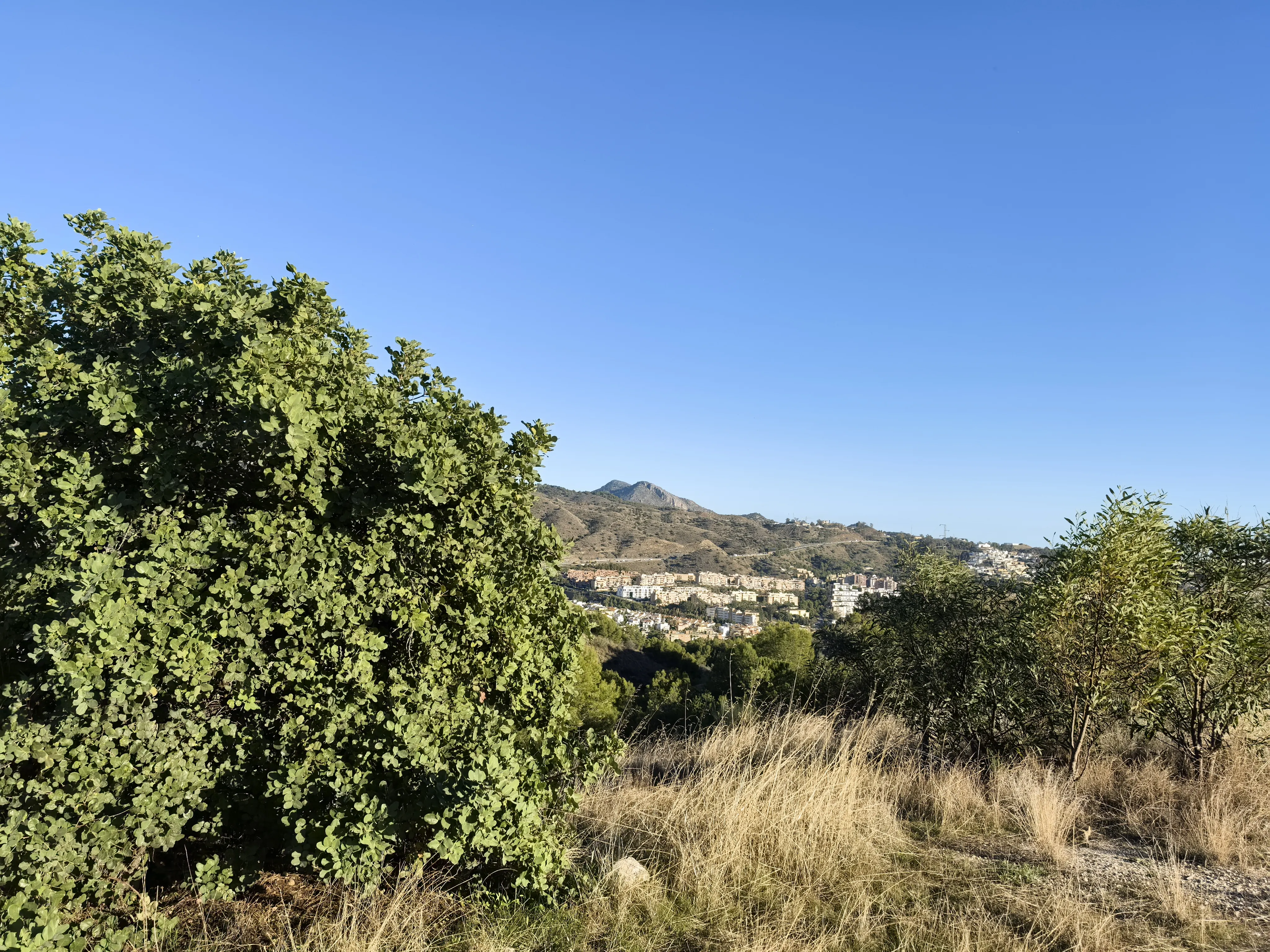 HUAWEI Pura 70 Ultra - System Aparatów - IMG_20251127_162007.webp